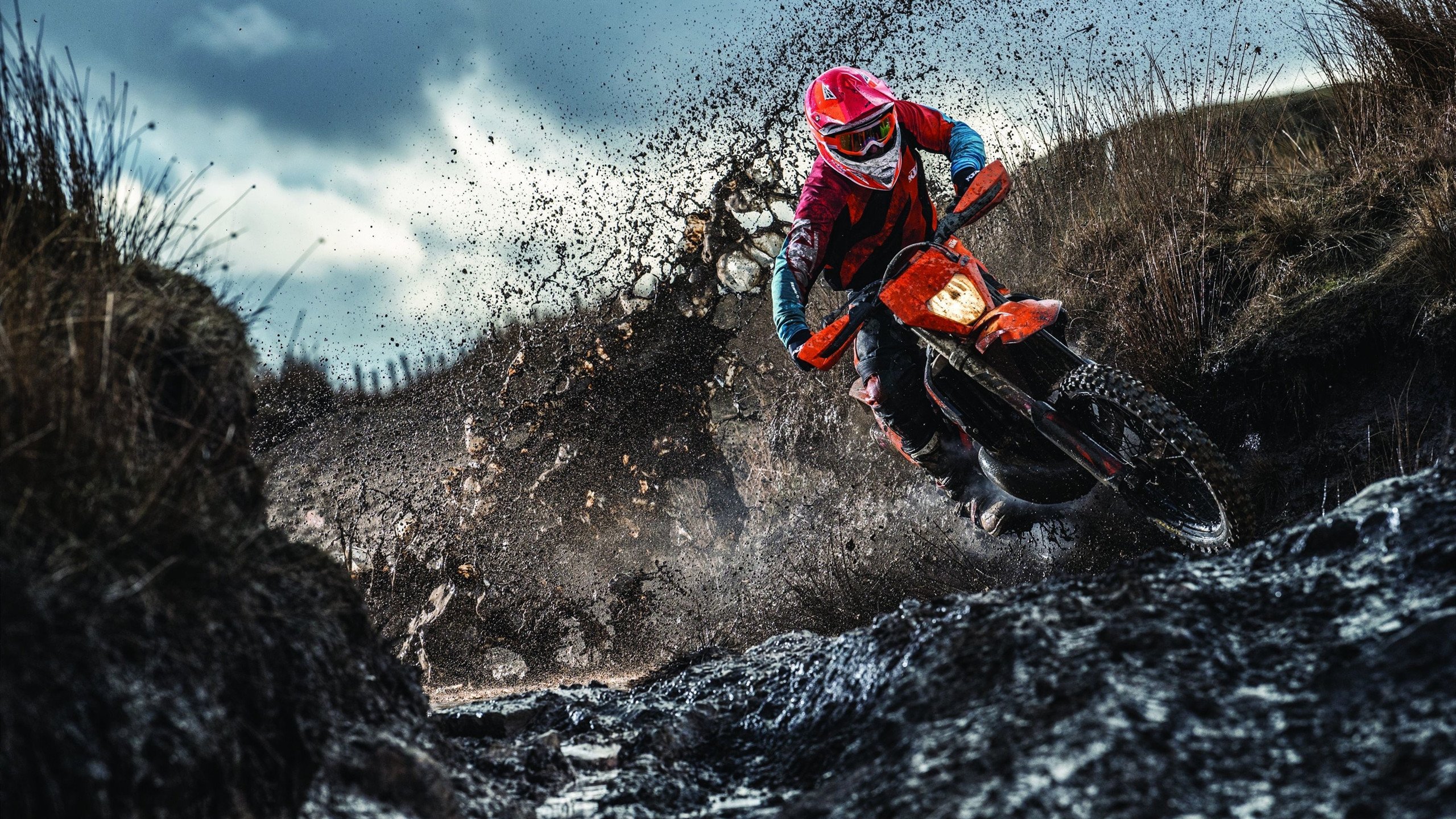 澳大利亚组合展现强劲实力锁定奖牌有望，澳大利亚得了几块金牌